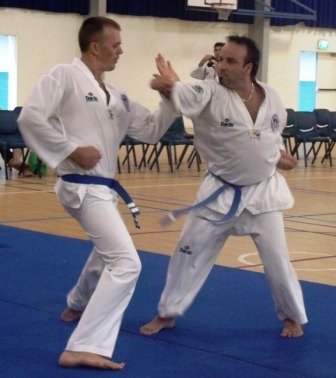 Taekwondo Techniques And Self Defence